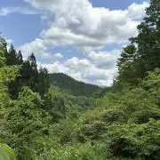 tomsan