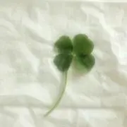 きみまろの画像