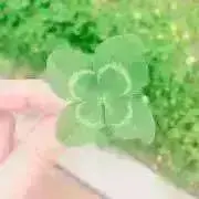 Kの画像