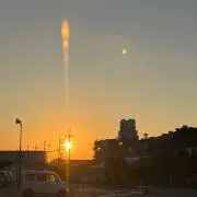 いるかの画像