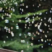 のののの画像