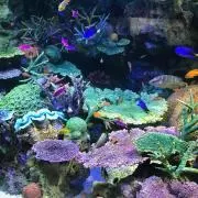ららら★の画像