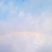 くらげの画像