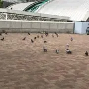 ユクアキの画像