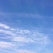 PARMIGIANOの画像