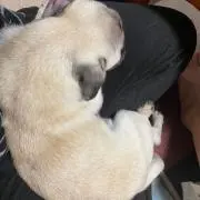 ゆたか