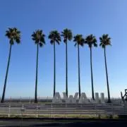 キラキラの画像