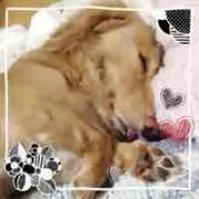 はるすけ(*ˊ˘ˋ*)の画像