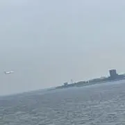 なみの画像