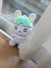 Maiの画像