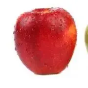るりの画像