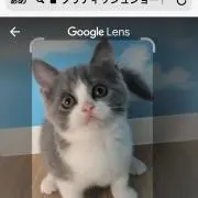 ikoru