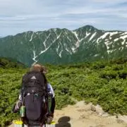 太陽の画像
