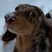 kelly＊プロフ一読お願いします＊の画像
