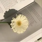 na.