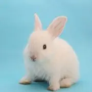 なおち