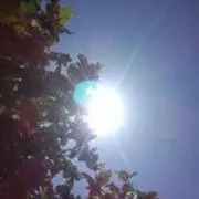 Y☆M