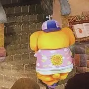 ぽんぽんの画像