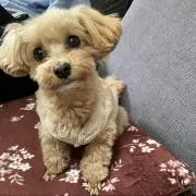 かんちゃん