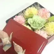 はるかの画像