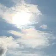 Yinlongの画像