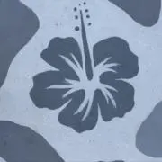 Rayの画像
