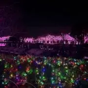 むにゅっ