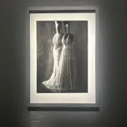 yuuiの画像