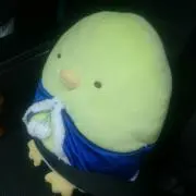 ももみぃ