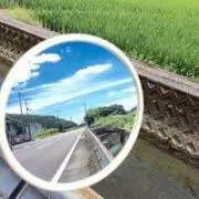 なつの画像
