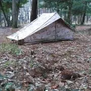 それ行け！アンポンタン
