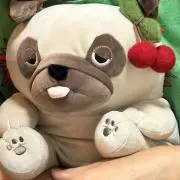 ファーファの画像