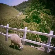 じゅん。☆プロフ必読下さい☆