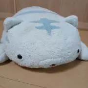 にゃーごの画像