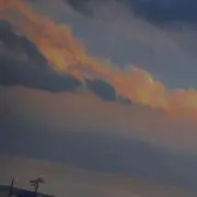 サラの画像