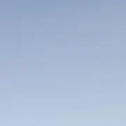 Pの画像