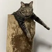 きよの画像