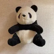 まろんの画像