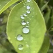 Zの画像