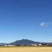 瑠珂
