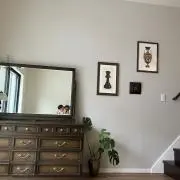 Arlington360