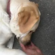 TK☆の画像