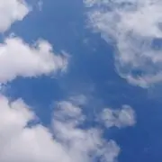 うえの画像