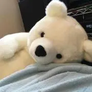 ぽーら