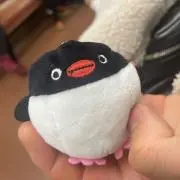 かぼちゃの画像