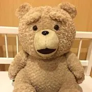Tedの画像