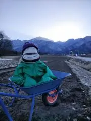 カレーのにんじん