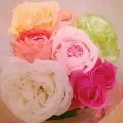 tanny@断捨離中の画像