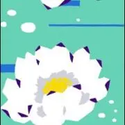 あーちゃんの画像