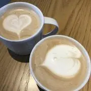 スナぐまの画像
